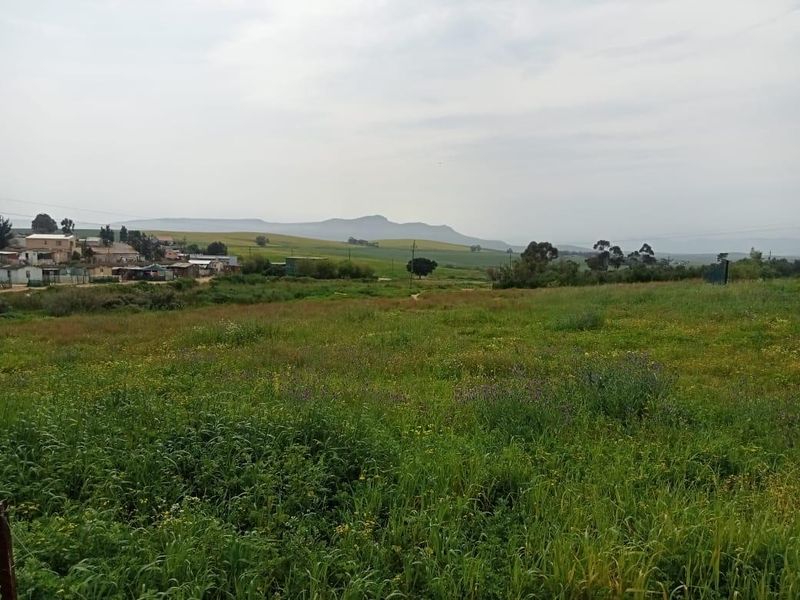 A wide-angle view of a vacant residential plot featuring natural grassland, surrounding vegetation, and distant mountain views.
