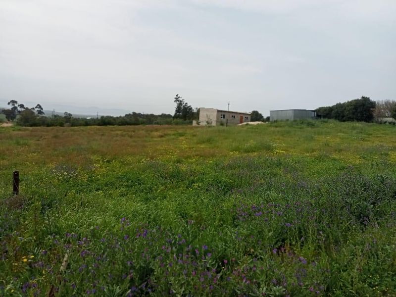 Expansive vacant residential land featuring natural vegetation and an existing unfinished structure in the distance.