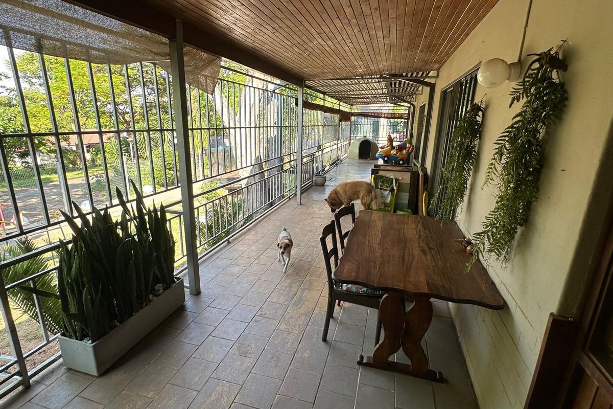 PRICE REDUCED!!  A FAMILY HAVEN WITH BUILT-IN INCOME POTENTIAL - Photo 3