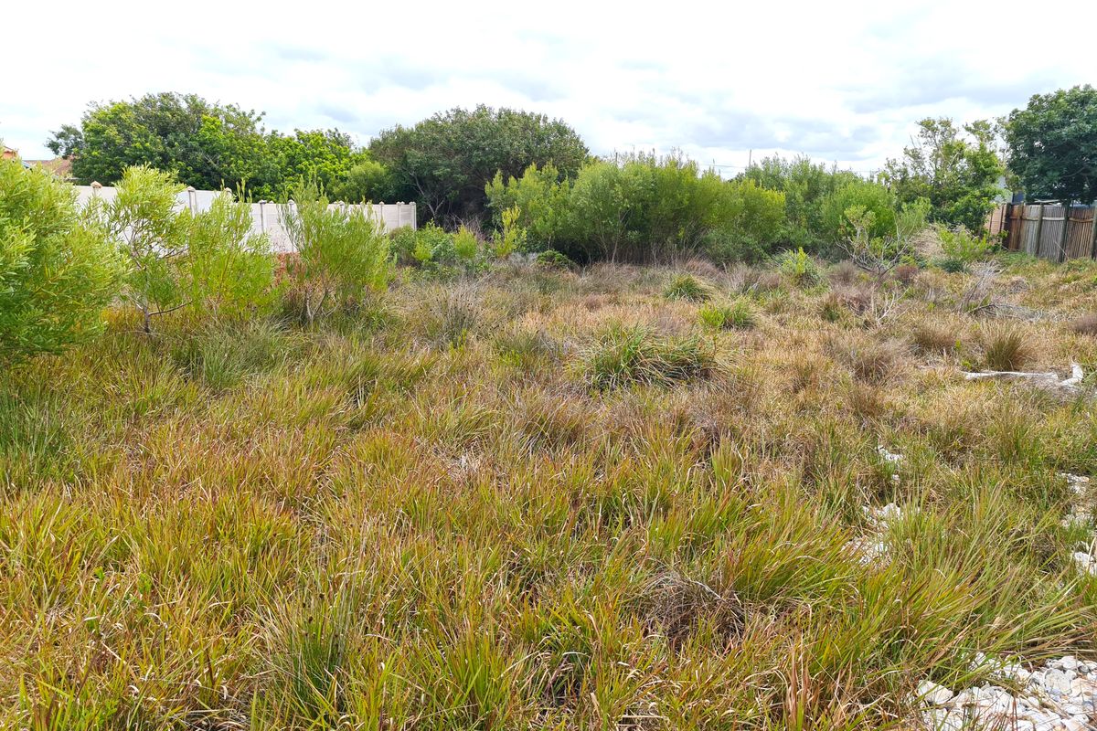Large Level Stand in Paradise Beach, Jeffreys Bay - Photo 5