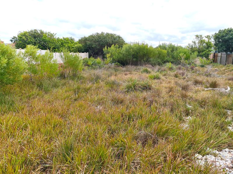 Large Level Stand in Paradise Beach, Jeffreys Bay - Photo 5