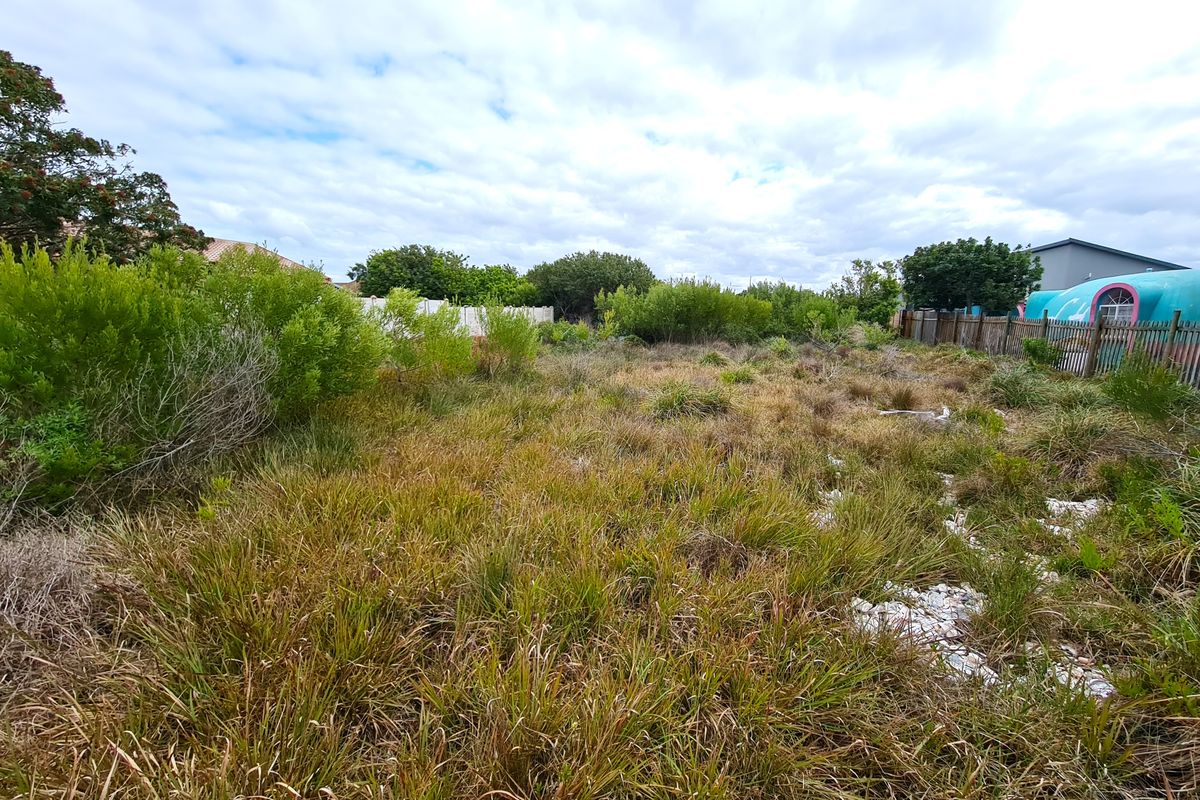 Large Level Stand in Paradise Beach, Jeffreys Bay - Photo 4