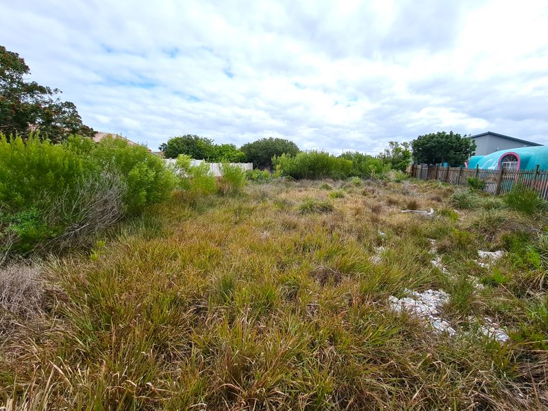 Large Level Stand in Paradise Beach, Jeffreys Bay - Photo 4