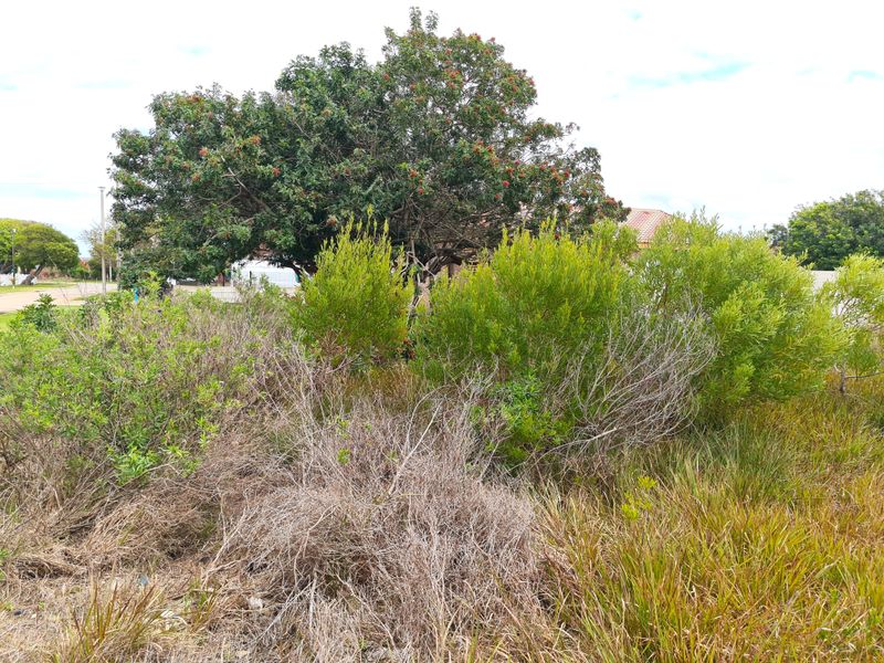 Large Level Stand in Paradise Beach, Jeffreys Bay - Photo 6