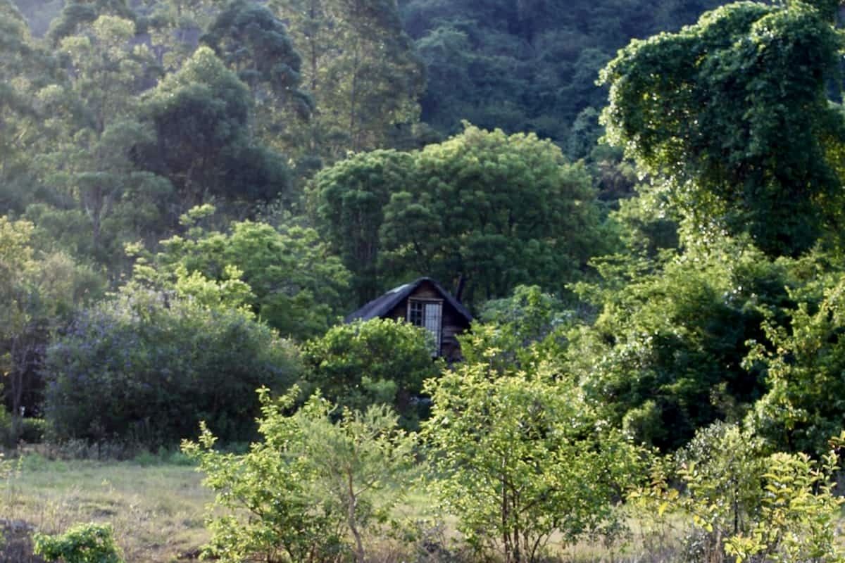 Mountain Stone Cottage – Historic 1800s Retreat in Schoemanskloof - Photo 2