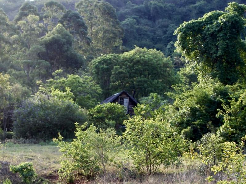 Mountain Stone Cottage – Historic 1800s Retreat in Schoemanskloof - Photo 2