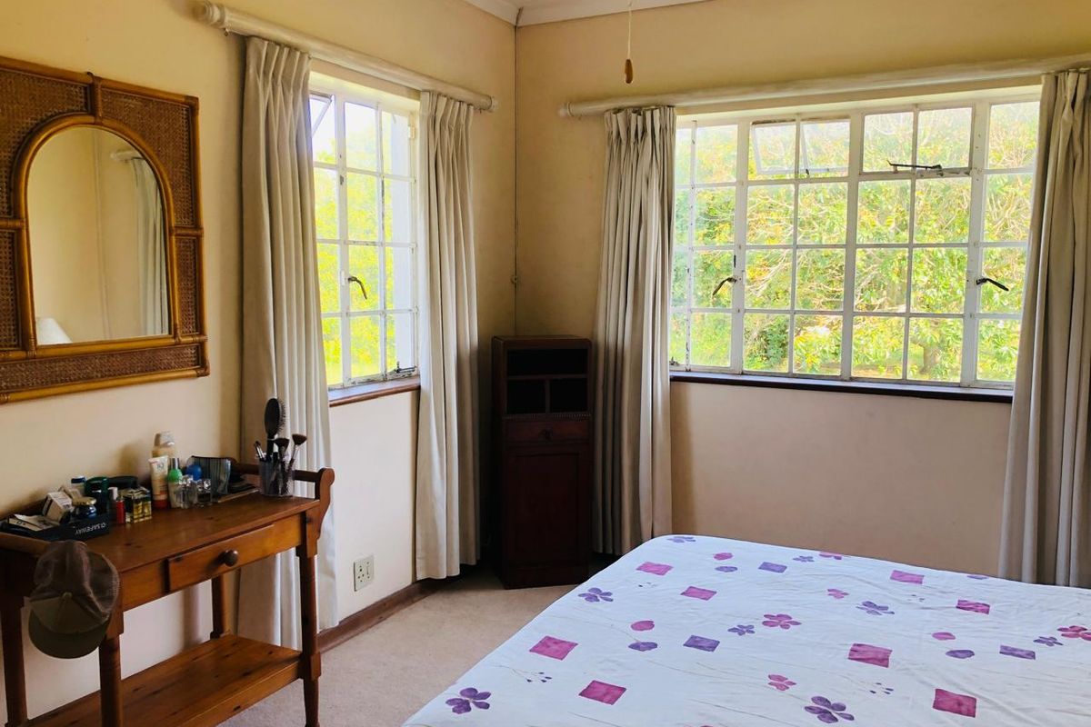 A bedroom featuring large windows with natural light, carpeted flooring, and neutral wall finishes.