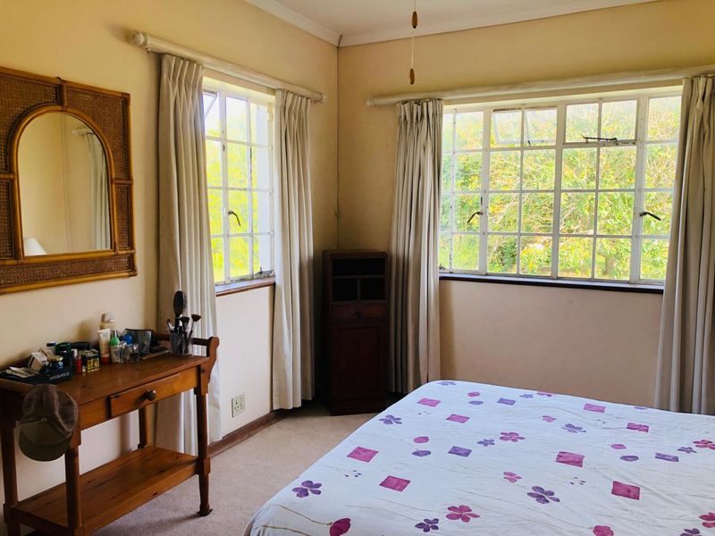 A bedroom featuring large windows with natural light, carpeted flooring, and neutral wall finishes.