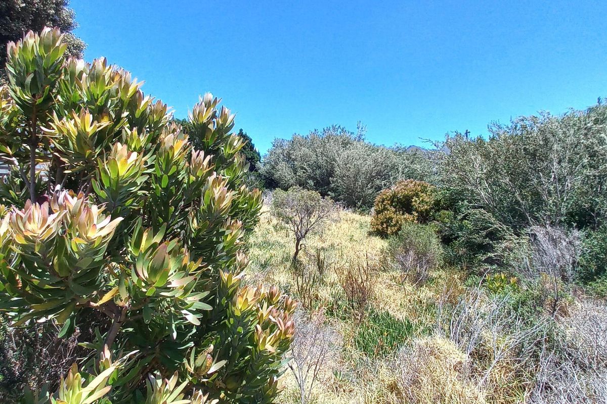 Pringle Bay Vacant Plot for Sale – Outside Wetland Area with Open Mountain Views - Photo 3