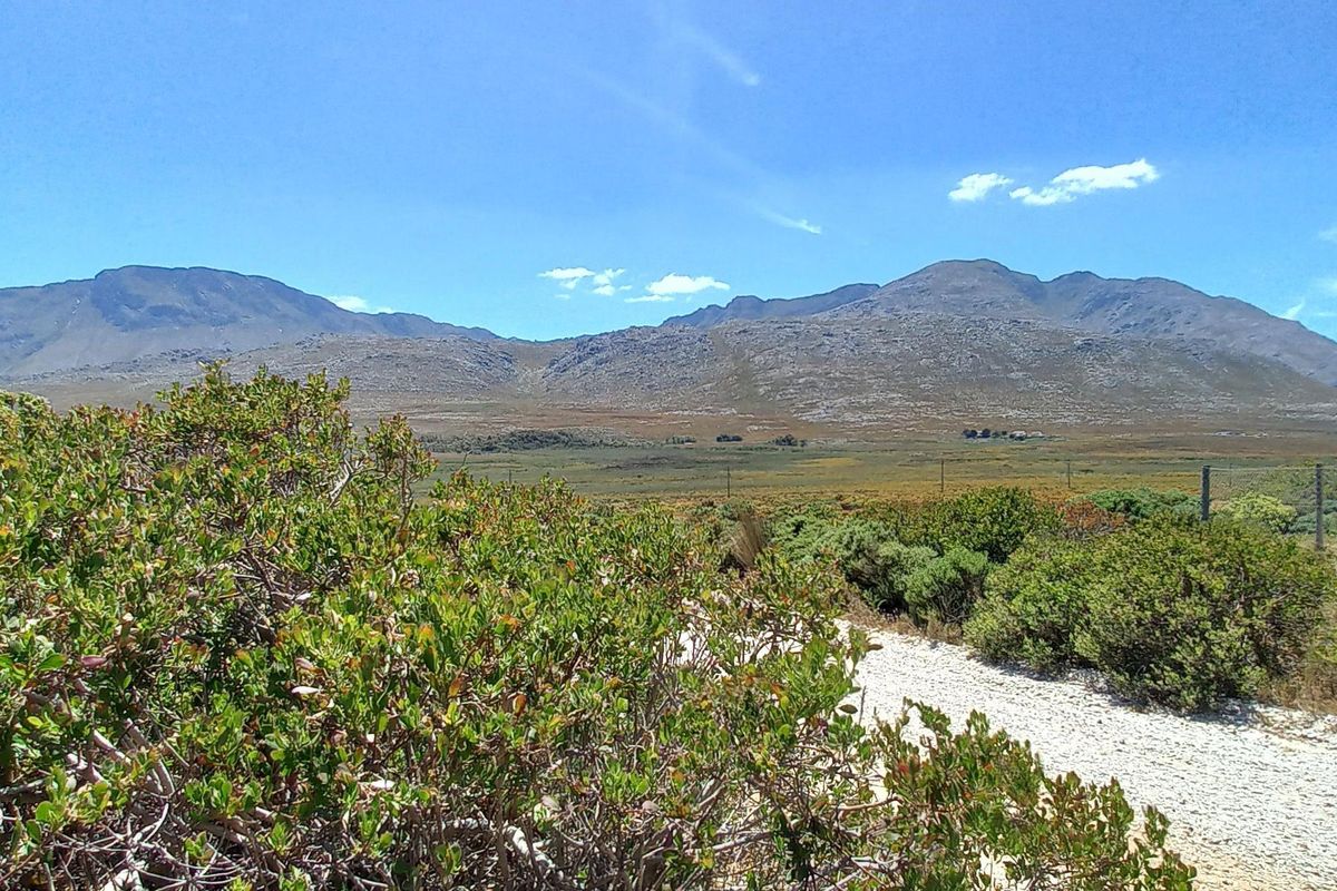 Pringle Bay Vacant Plot for Sale – Outside Wetland Area with Open Mountain Views - Photo 5