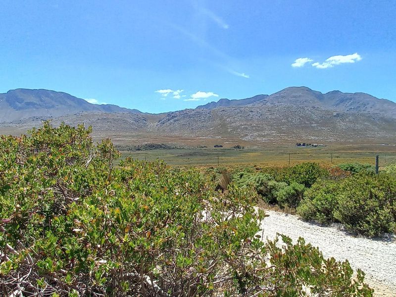Pringle Bay Vacant Plot for Sale – Outside Wetland Area with Open Mountain Views - Photo 5