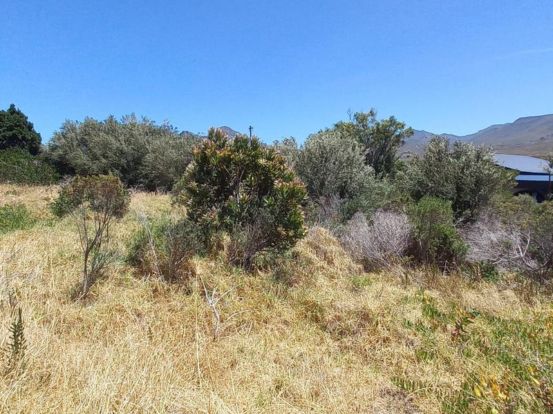 Pringle Bay Vacant Plot for Sale – Outside Wetland Area with Open Mountain Views - Photo 9