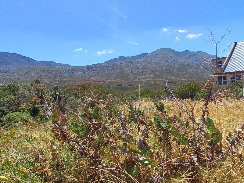 Pringle Bay Vacant Plot for Sale – Outside Wetland Area with Open Mountain Views - Photo 10