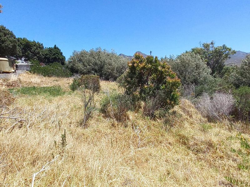 Pringle Bay Vacant Plot for Sale – Outside Wetland Area with Open Mountain Views - Photo 8