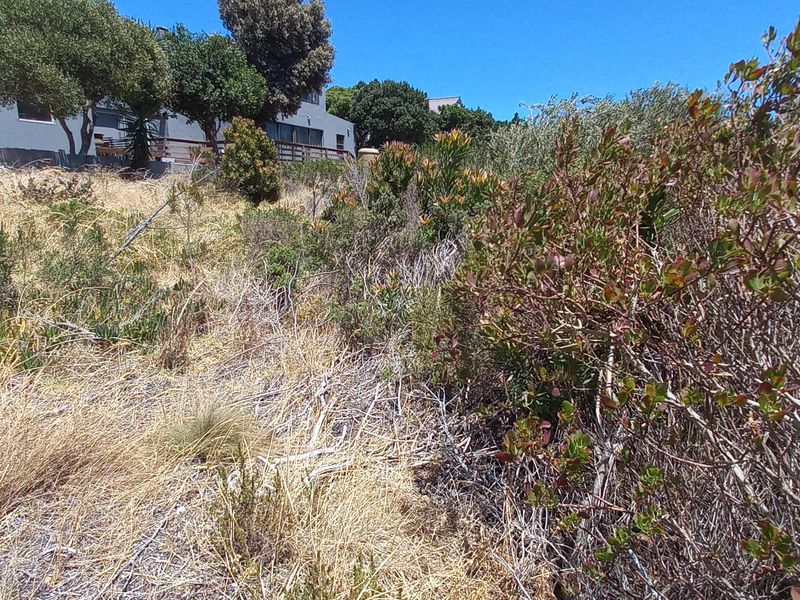Pringle Bay Vacant Plot for Sale – Outside Wetland Area with Open Mountain Views - Photo 7