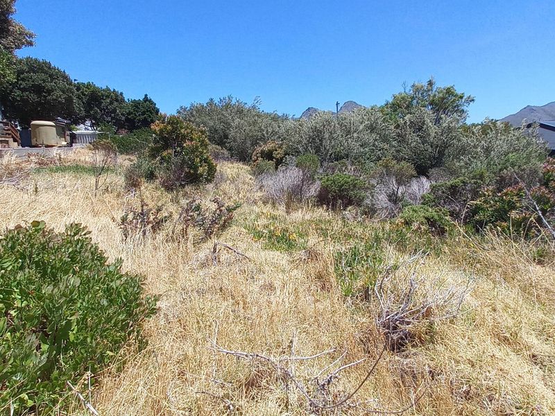 Pringle Bay Vacant Plot for Sale – Outside Wetland Area with Open Mountain Views - Photo 6