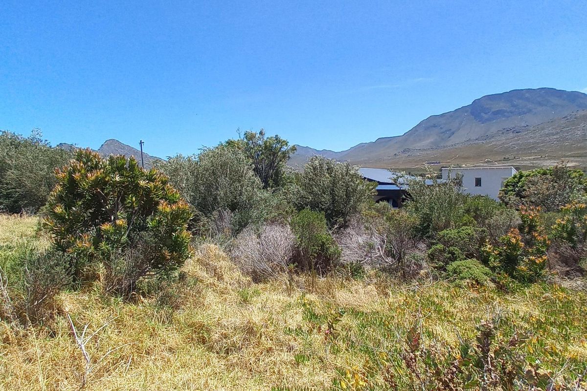 Pringle Bay Vacant Plot for Sale – Outside Wetland Area with Open Mountain Views - Photo 4
