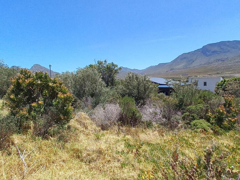 Pringle Bay Vacant Plot for Sale – Outside Wetland Area with Open Mountain Views - Photo 4