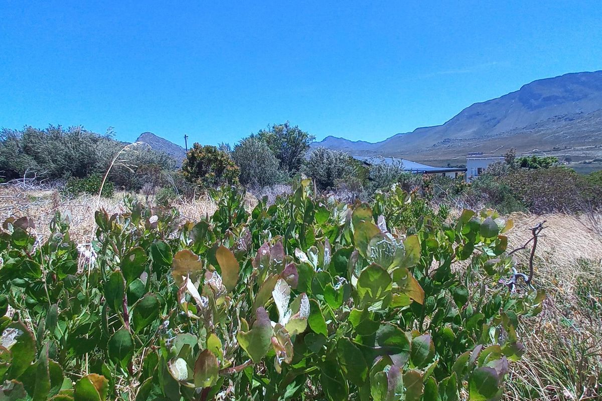 Pringle Bay Vacant Plot for Sale – Outside Wetland Area with Open Mountain Views - Photo 2