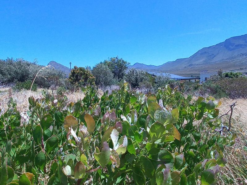 Pringle Bay Vacant Plot for Sale – Outside Wetland Area with Open Mountain Views - Photo 2