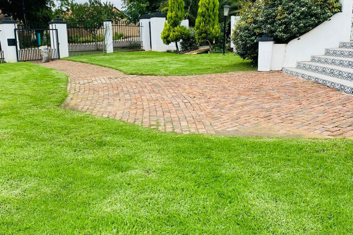 Discover this charming 4-bedroom guest house for sale in Parys, perfect for investment or family - Photo 5