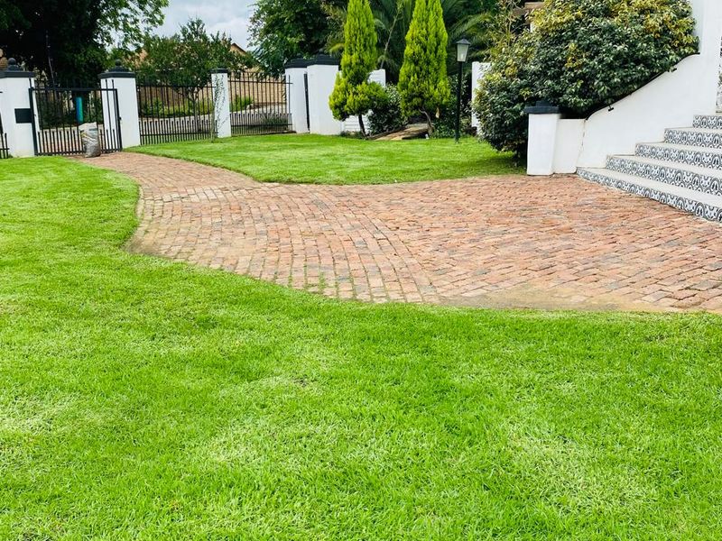 Discover this charming 4-bedroom guest house for sale in Parys, perfect for investment or family - Photo 5