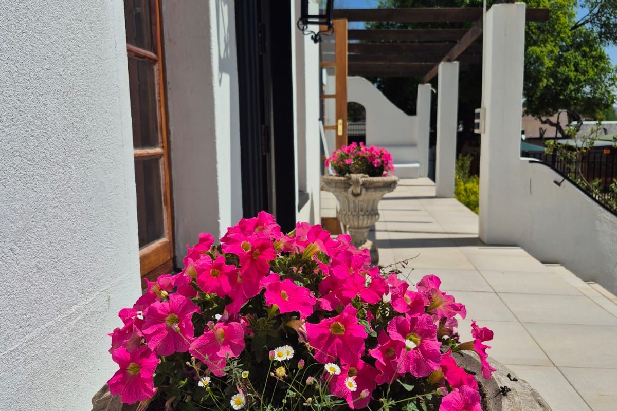 Discover this charming 4-bedroom guest house for sale in Parys, perfect for investment or family - Photo 4
