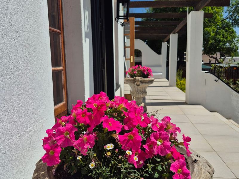 Discover this charming 4-bedroom guest house for sale in Parys, perfect for investment or family - Photo 4