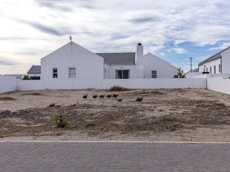 Lock Up and Go Coastal Living in a Secure Estate - Photo 5