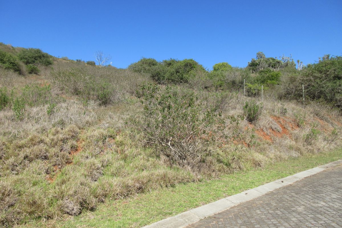 Majestic Views over Port Alfred. Where River, Ocean and Nature meet - Photo 3