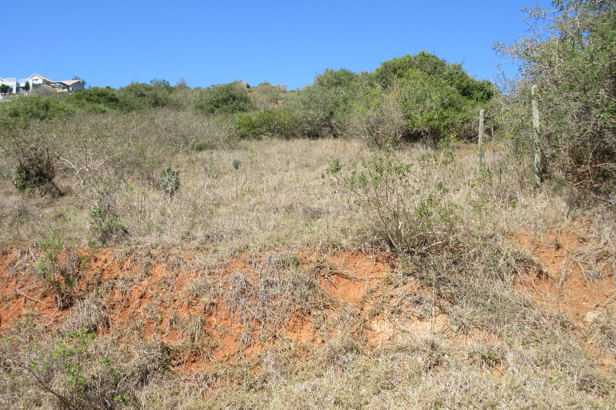 Majestic Views over Port Alfred. Where River, Ocean and Nature meet - Photo 5
