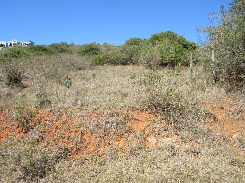 Majestic Views over Port Alfred. Where River, Ocean and Nature meet - Photo 5