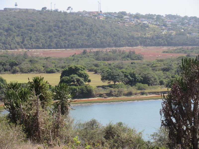Majestic Views over Port Alfred. Where River, Ocean and Nature meet - Photo 7