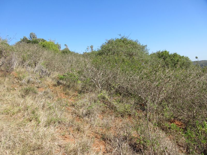 Majestic Views over Port Alfred. Where River, Ocean and Nature meet - Photo 6