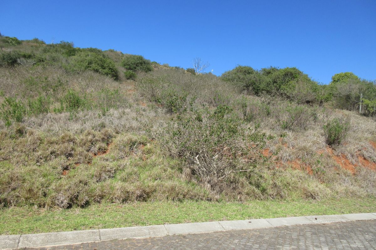 Majestic Views over Port Alfred. Where River, Ocean and Nature meet - Photo 2
