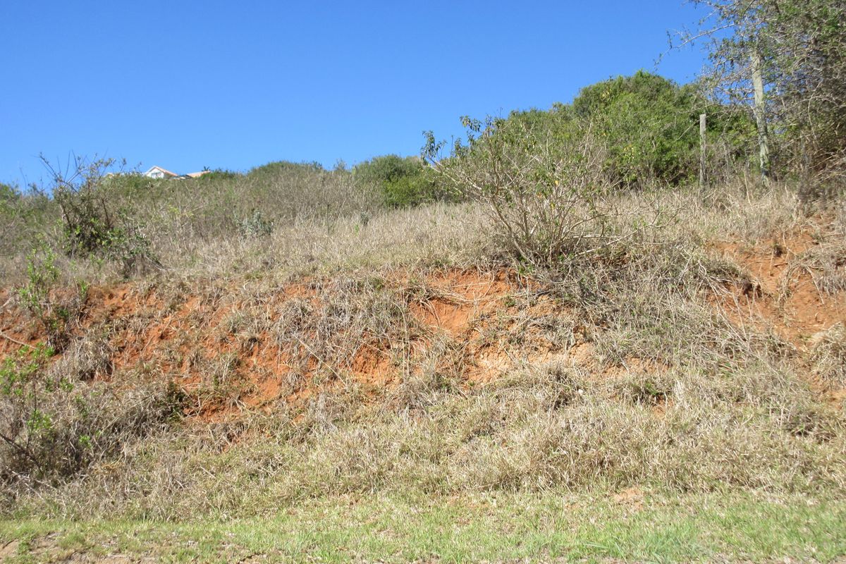 Majestic Views over Port Alfred. Where River, Ocean and Nature meet - Photo 4