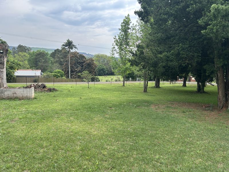 A spacious, grassed garden area featuring mature trees and a concrete retaining wall, offering a natural outdoor setting.