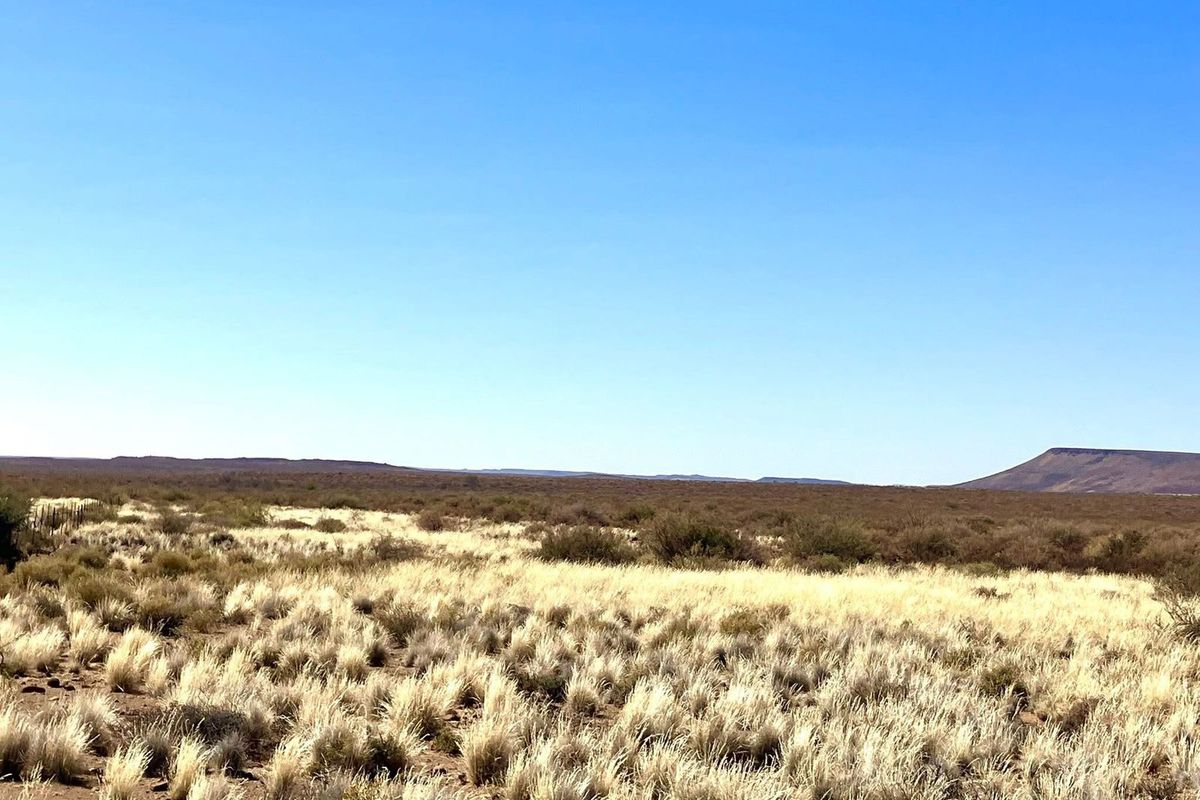 Skaapplaas te koop - Photo 2