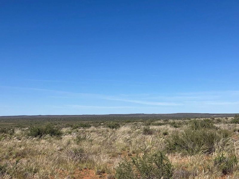 Skaapplaas te koop - Photo 7