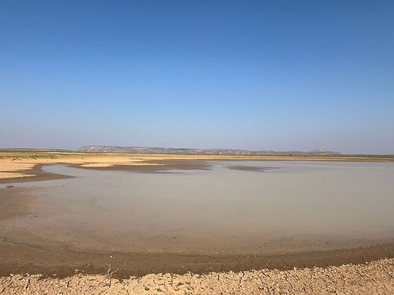 Skaapplaas te koop - Photo 10