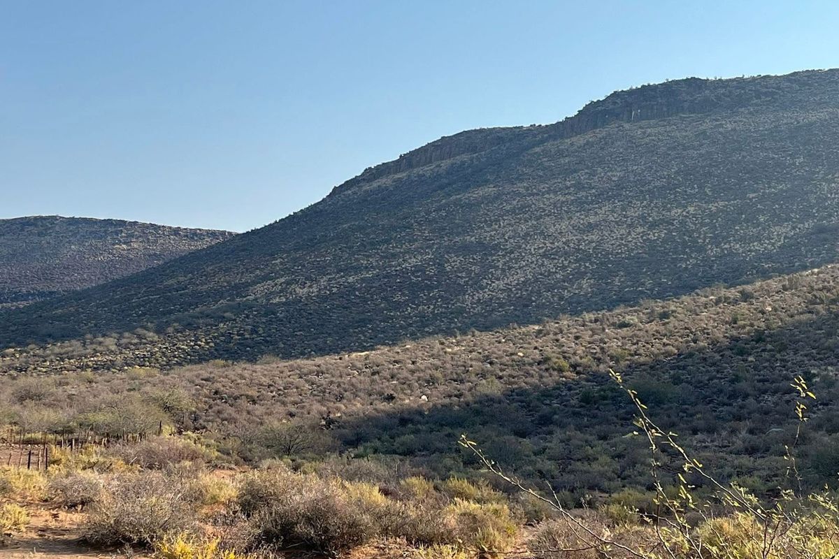 Skaapplaas te koop - Photo 4