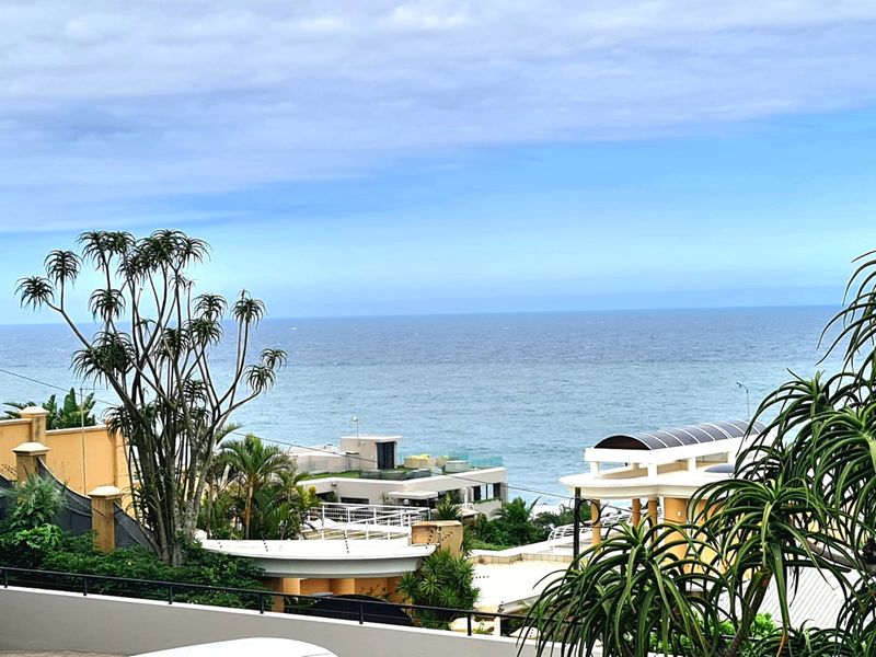 A scenic elevated view overlooking the ocean and surrounding coastal residential properties.