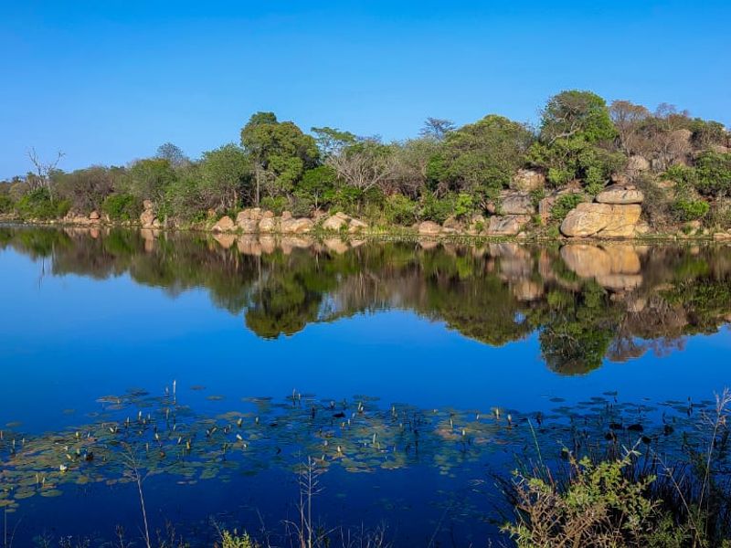 🌿 Stand for Sale – Nyathi Private Game Reserve, Waterberg - Photo 10