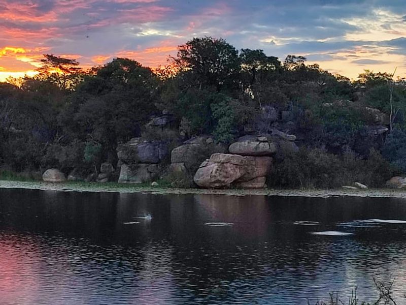 🌿 Stand for Sale – Nyathi Private Game Reserve, Waterberg - Photo 8