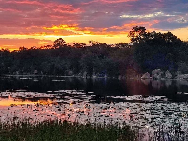 🌿 Stand for Sale – Nyathi Private Game Reserve, Waterberg - Photo 7