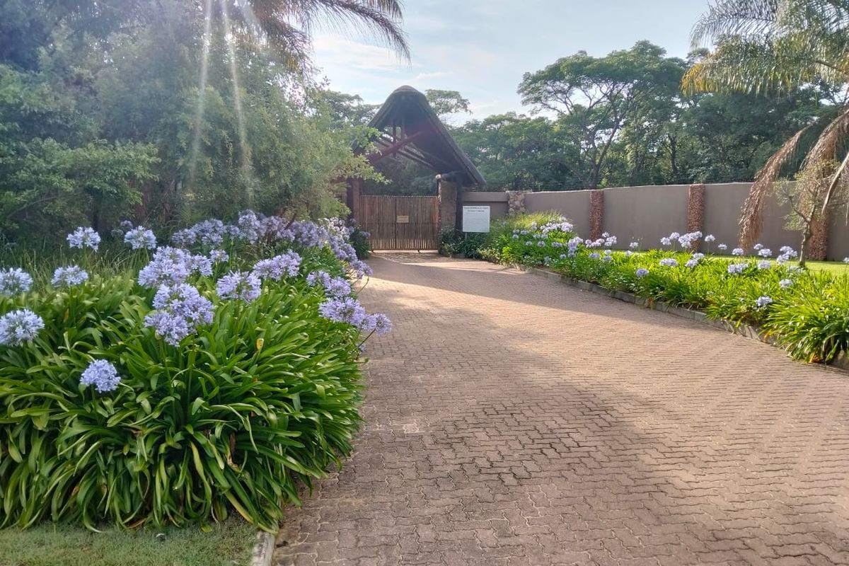 🌿 Stand for Sale – Nyathi Private Game Reserve, Waterberg - Photo 2