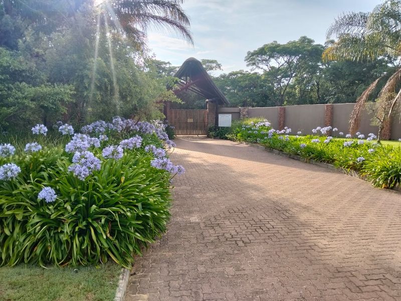 🌿 Stand for Sale – Nyathi Private Game Reserve, Waterberg - Photo 2