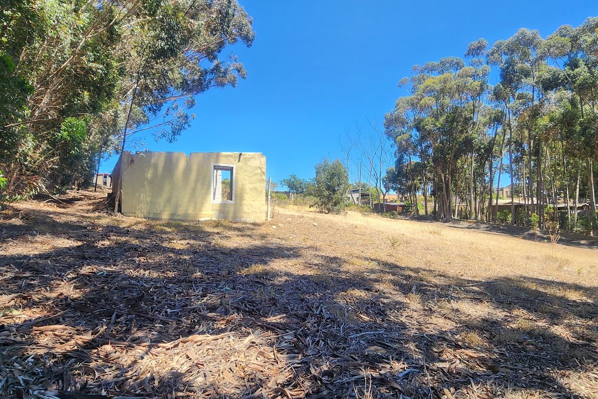Elevated Stand with Sweeping Country Views in Napier - Photo 4