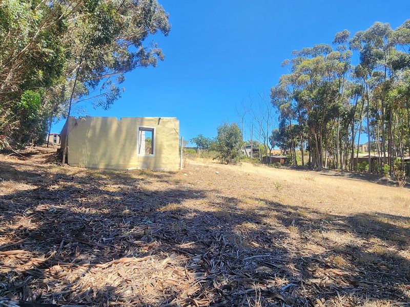 Elevated Stand with Sweeping Country Views in Napier - Photo 4