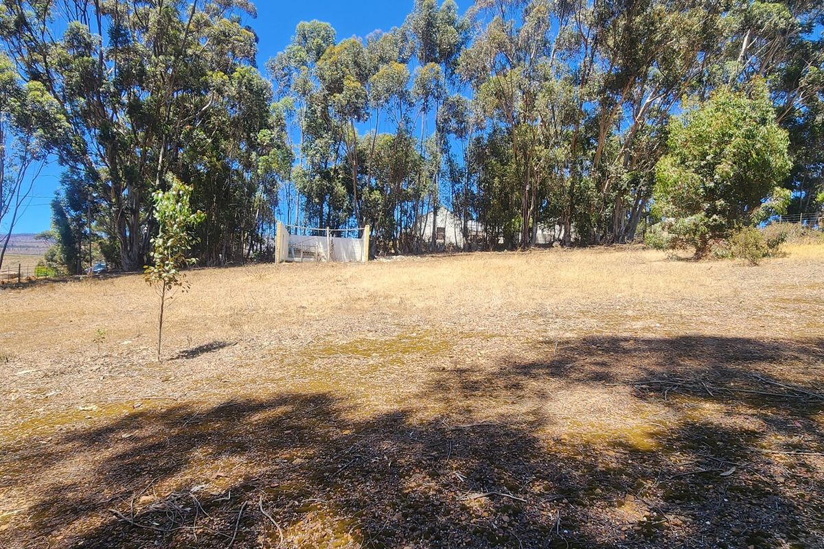 Elevated Stand with Sweeping Country Views in Napier - Photo 2